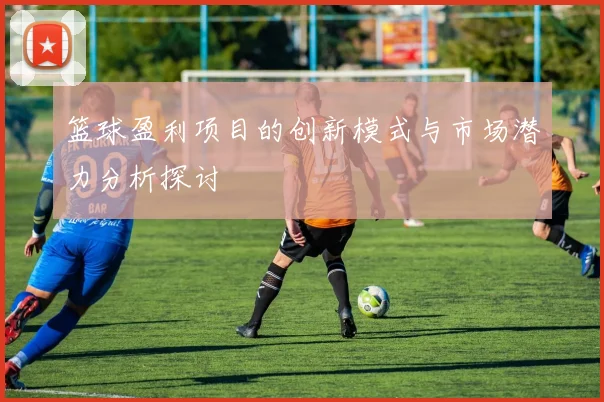 篮球盈利项目的创新模式与市场潜力分析探讨