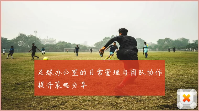 足球办公室的日常管理与团队协作提升策略分享